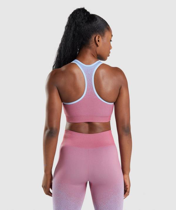 Damske Športové Podprsenky Gymshark Adapt Ombre Seamless Ruzove Ruzove Svetlo / Modre | TH2461057